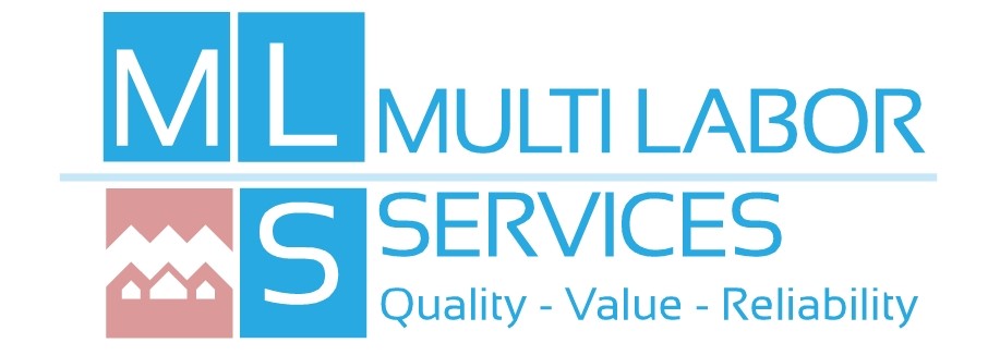 Multi Labor Services